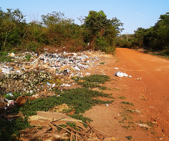 Lixo despejado em estradas vicinais polui meio ambiente e propaga doenças em Altos